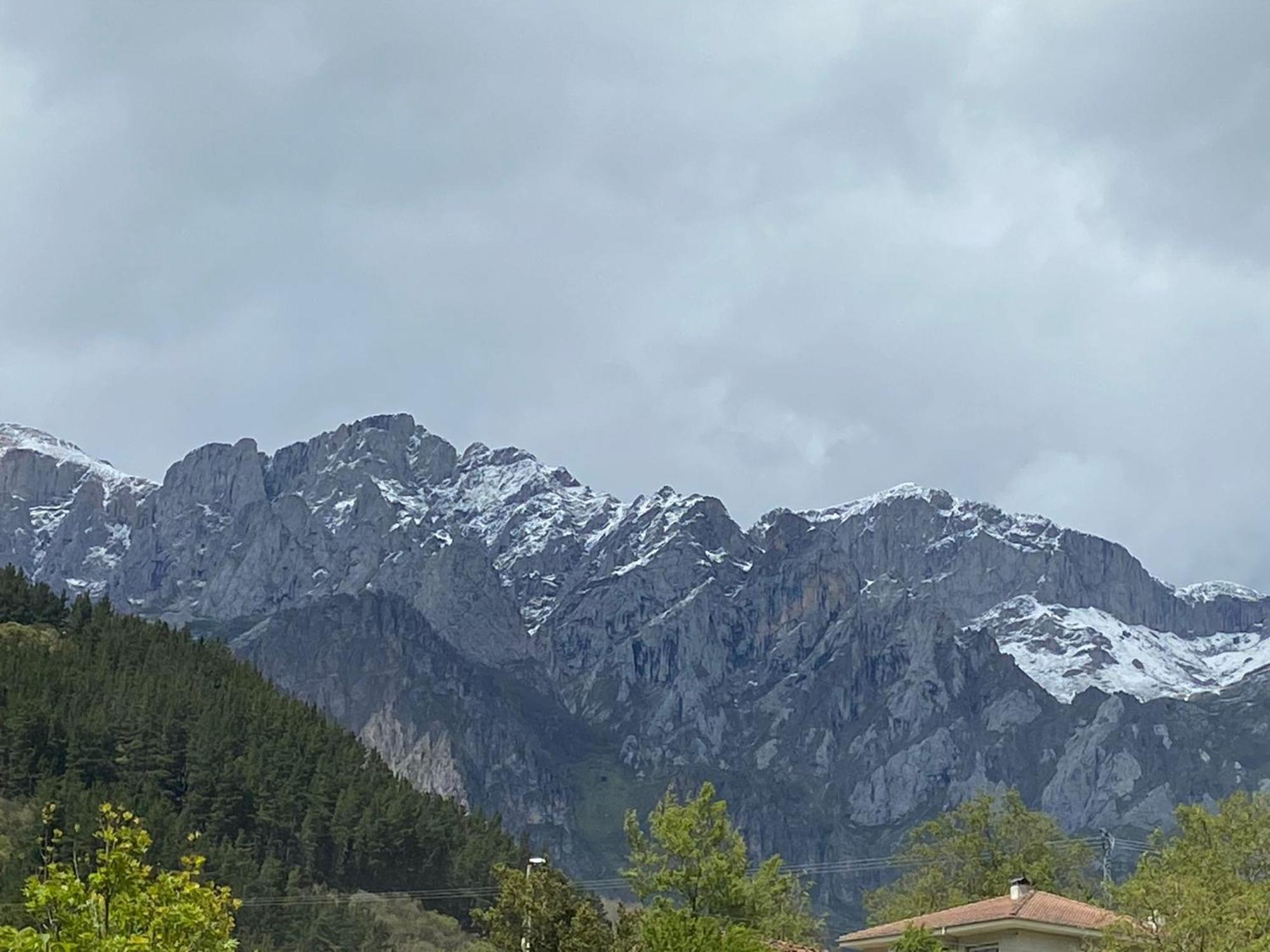 Picos De Europa Suites And Rooms Turieno Exteriör bild