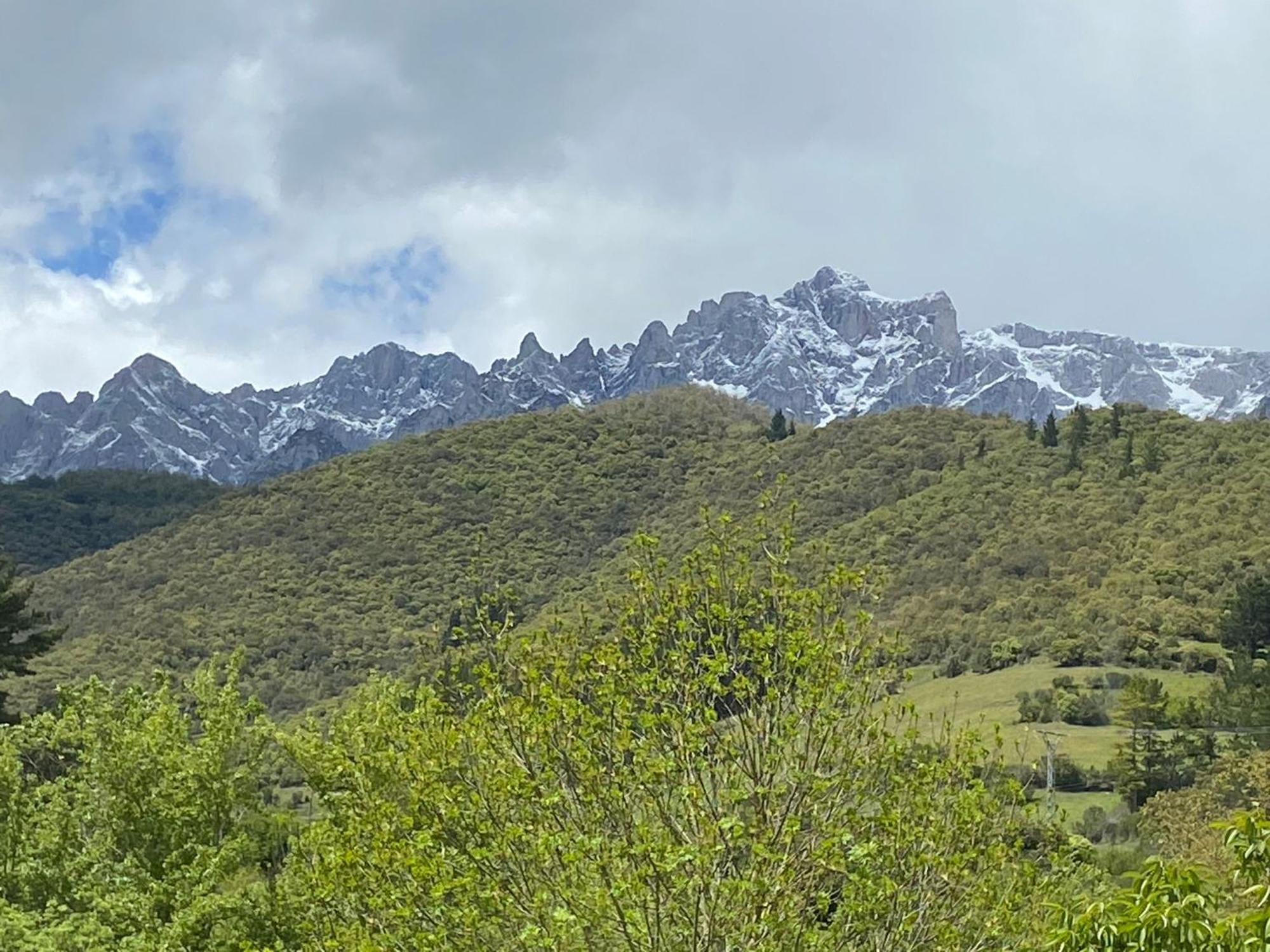 Picos De Europa Suites And Rooms Turieno Exteriör bild