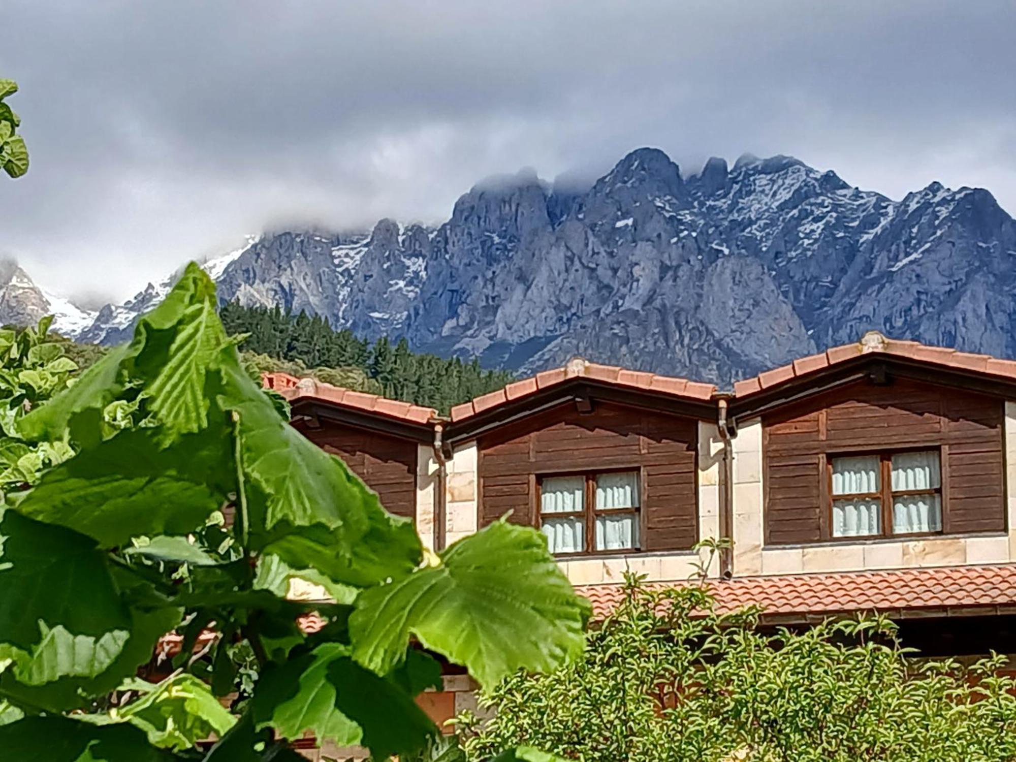 Picos De Europa Suites And Rooms Turieno Exteriör bild